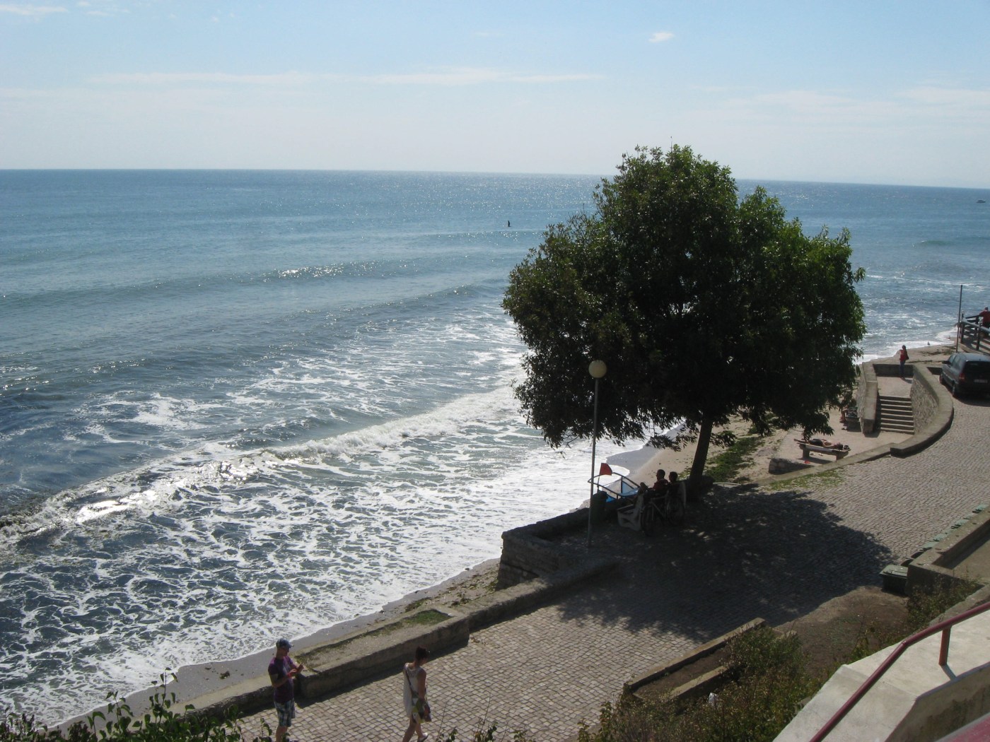 (c) Renee M. Wilmeth